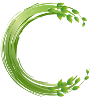 A logo of c in green with transparent background