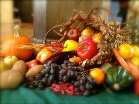 cornucopia of squash